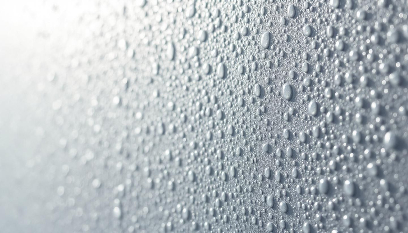 Prévention des infestations fongiques sur les revêtements extérieurs